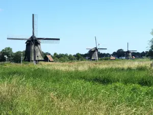 Allet 12 Holland